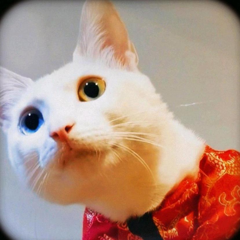吉祥宝宝