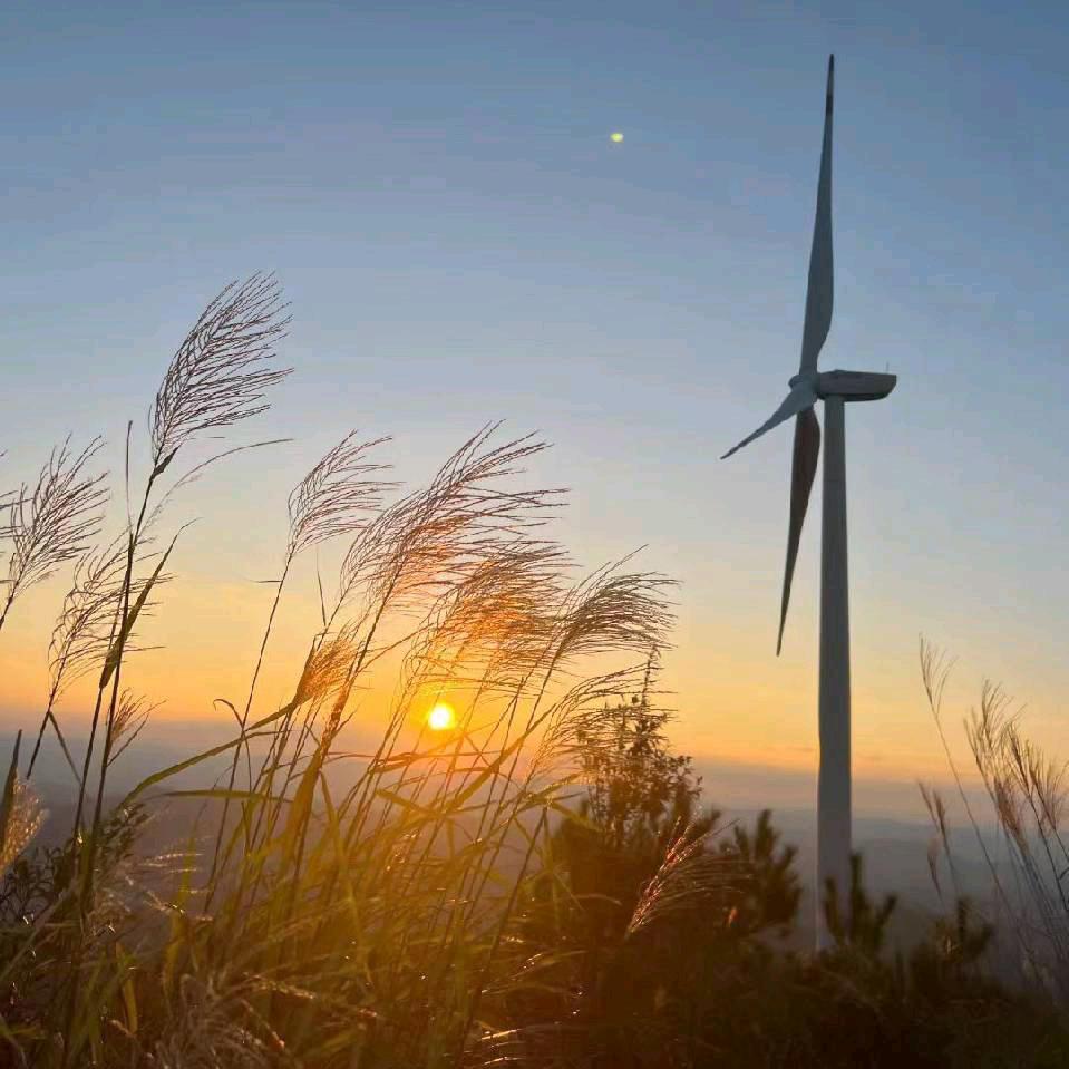 つ微凉徒眸意浅挚半