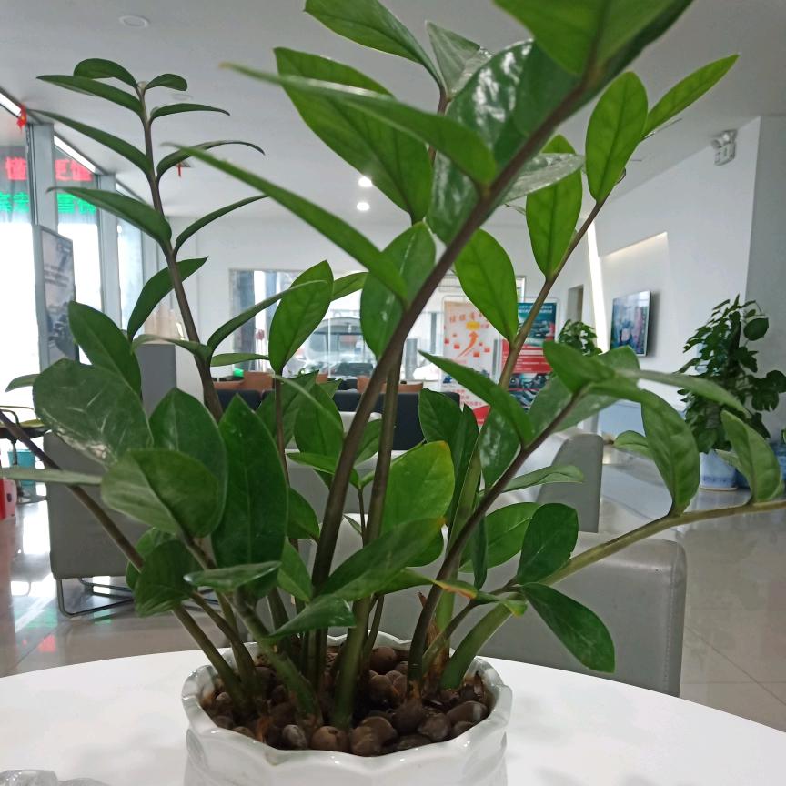 顺其自然。