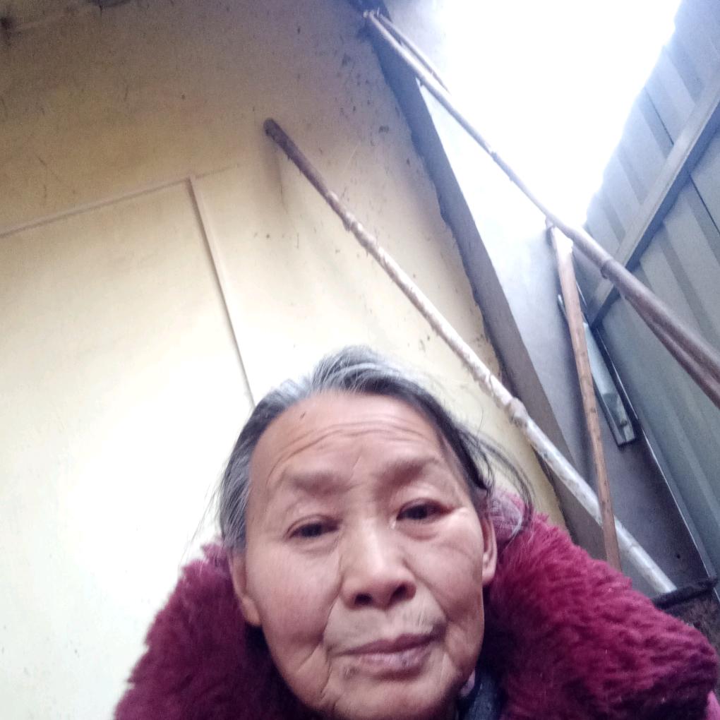 谭，快乐老太婆谭书琴