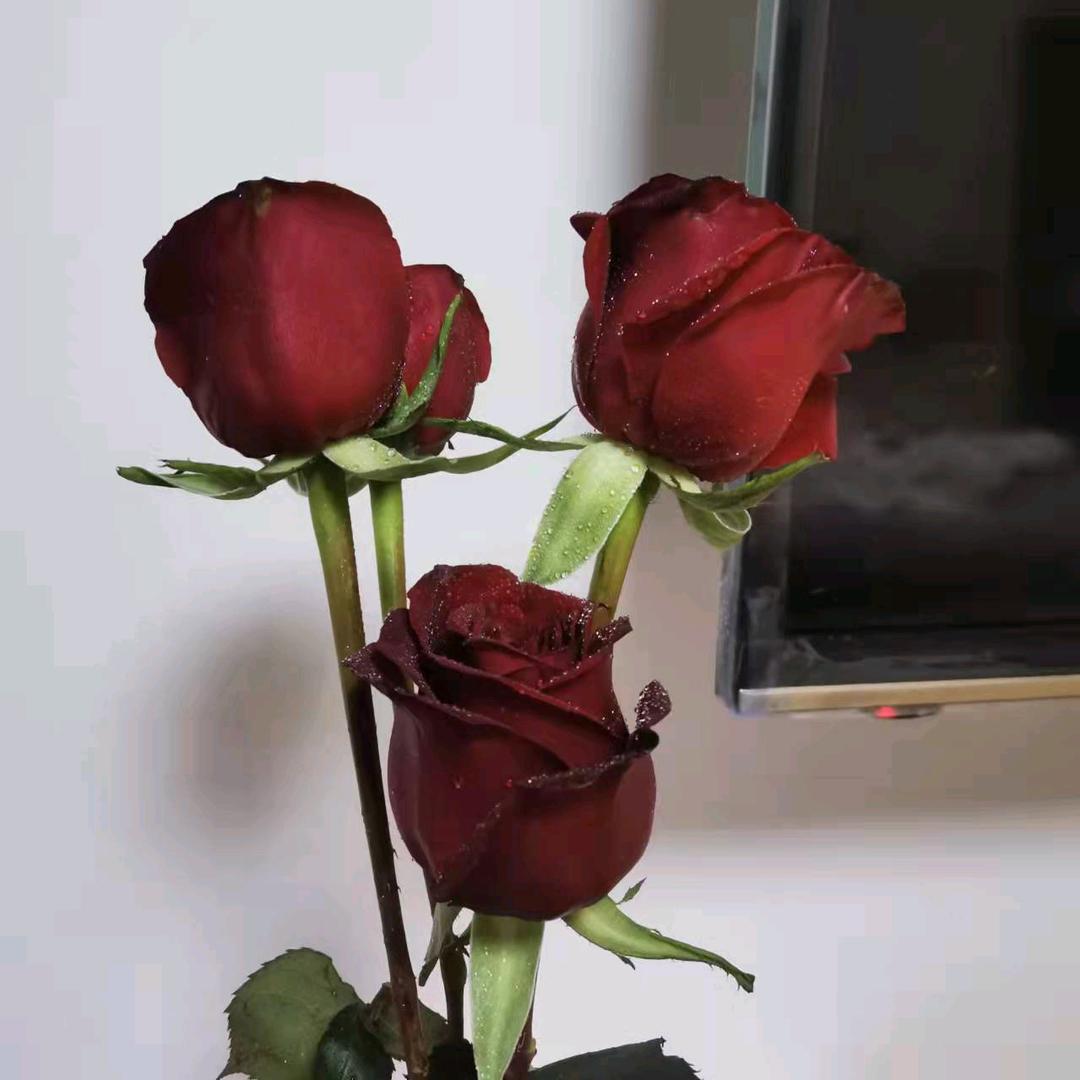 68038416390