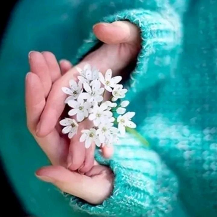 🌹感悟人生🌸🍒《诚信回赞不回关》