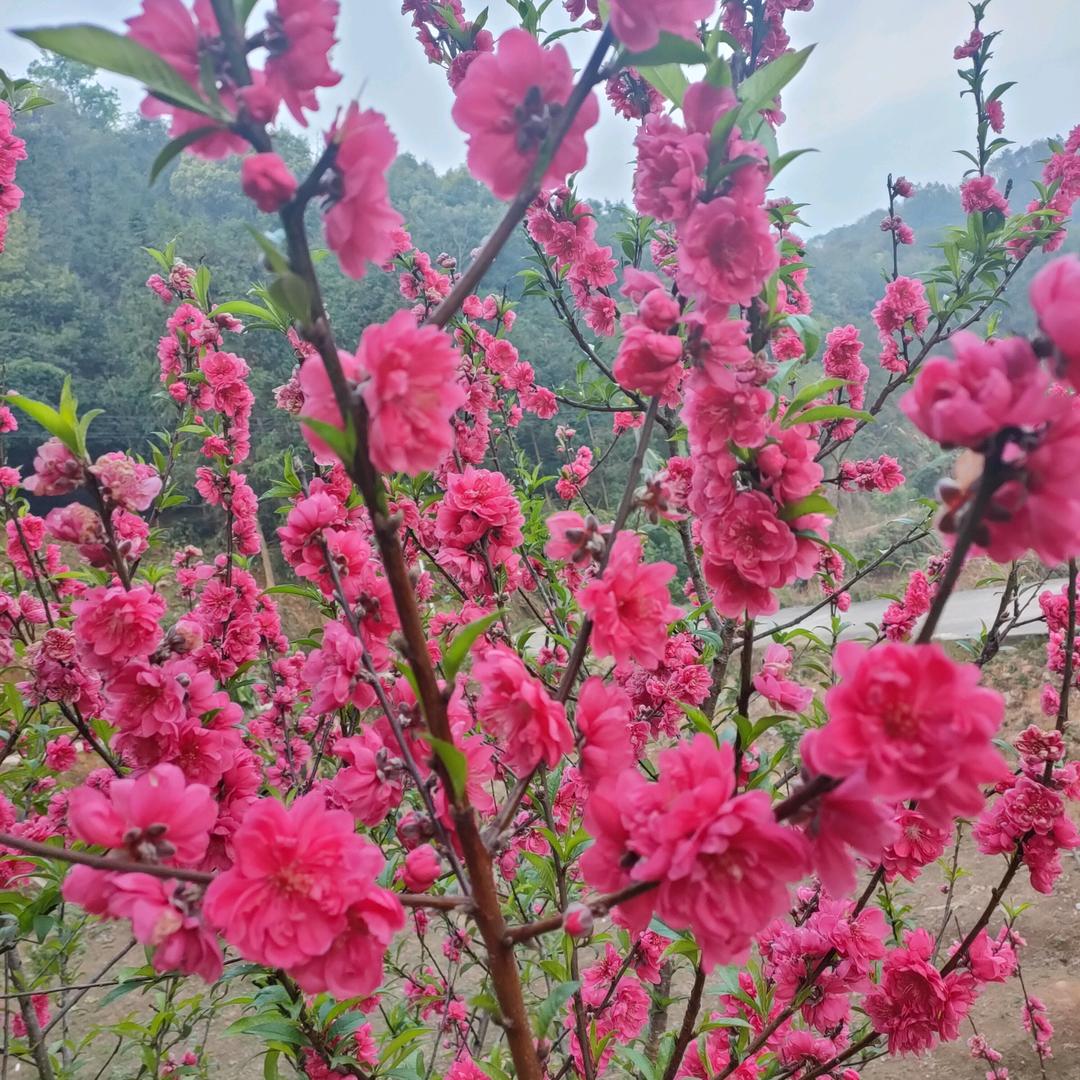 逆时针