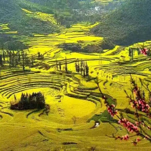 小佘陪你畅游云南