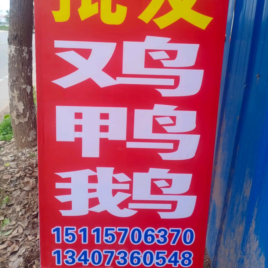 善待自己《拒私聊》