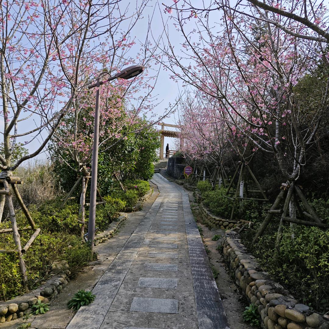燕语芬芳