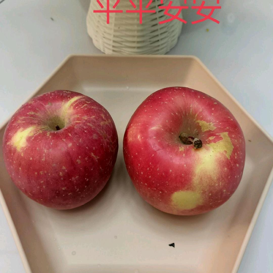 李丽萍