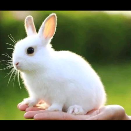 专管不二小哥哥🤗