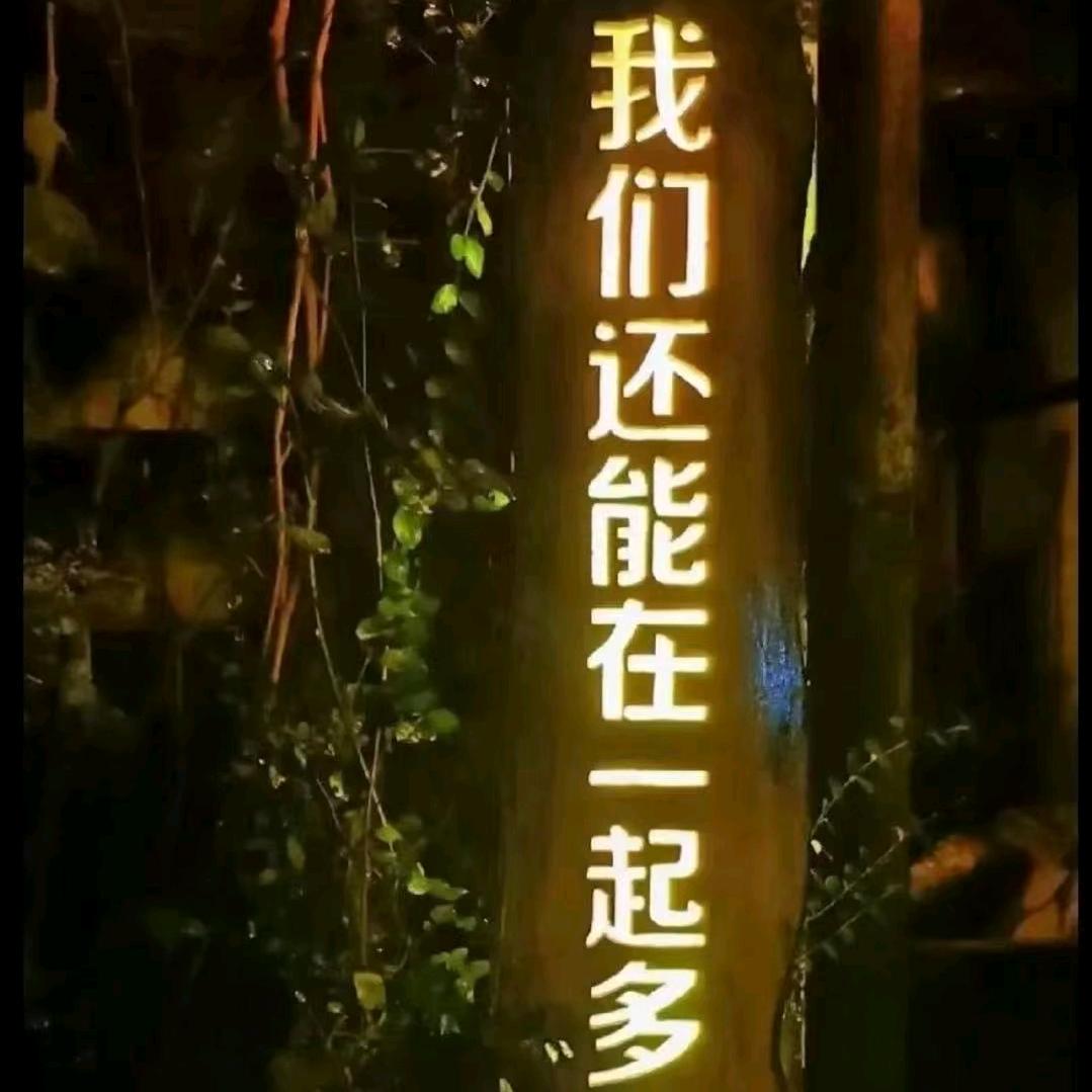 落叶19194095