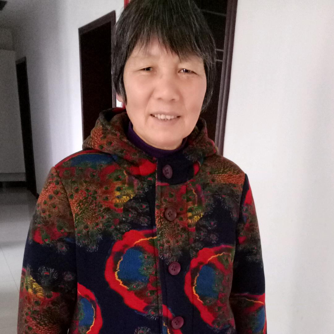 老马在途