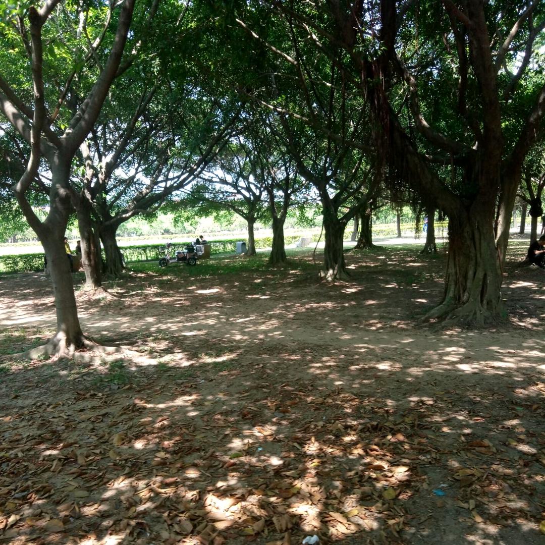 羊村你喜哥