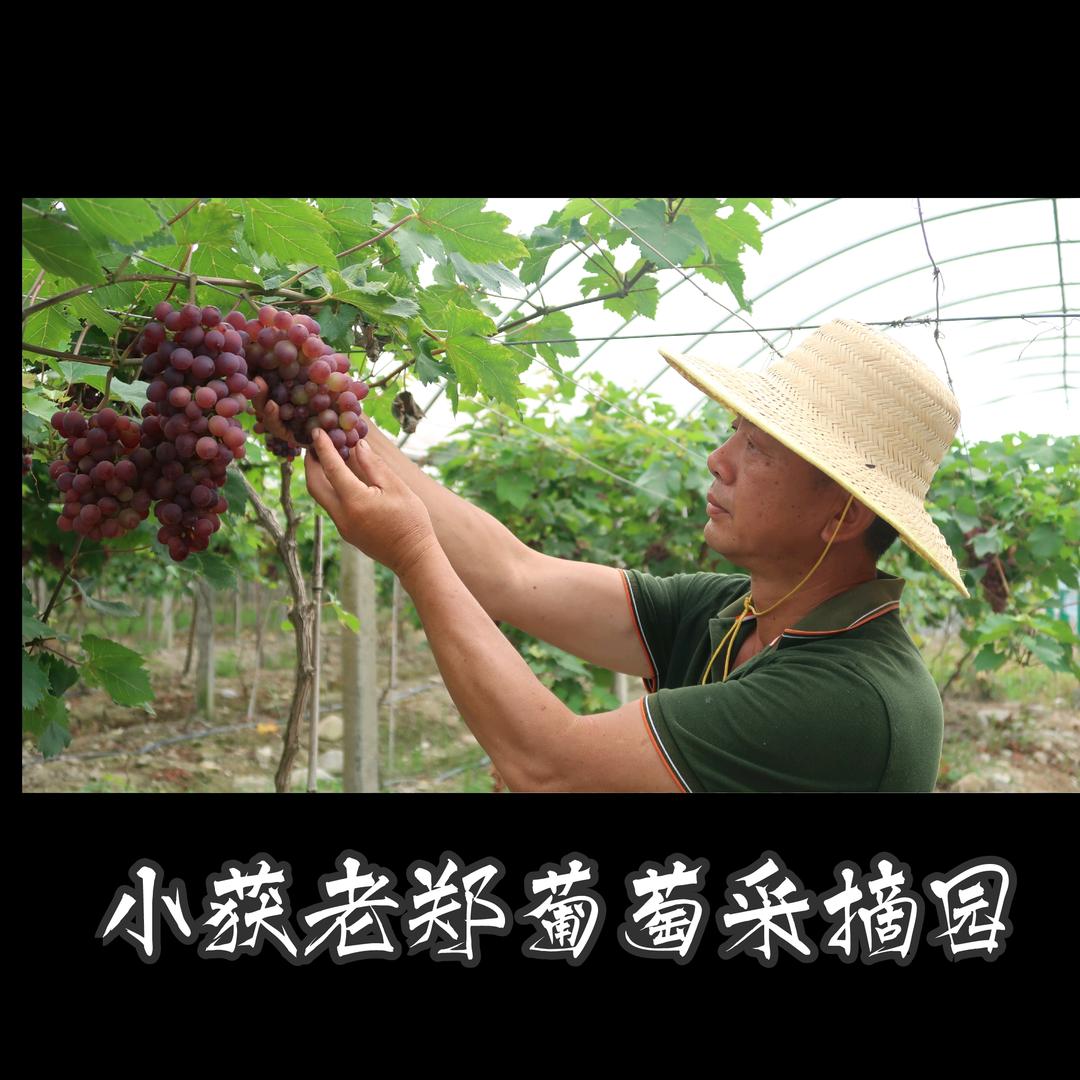 小获老郑打包厂