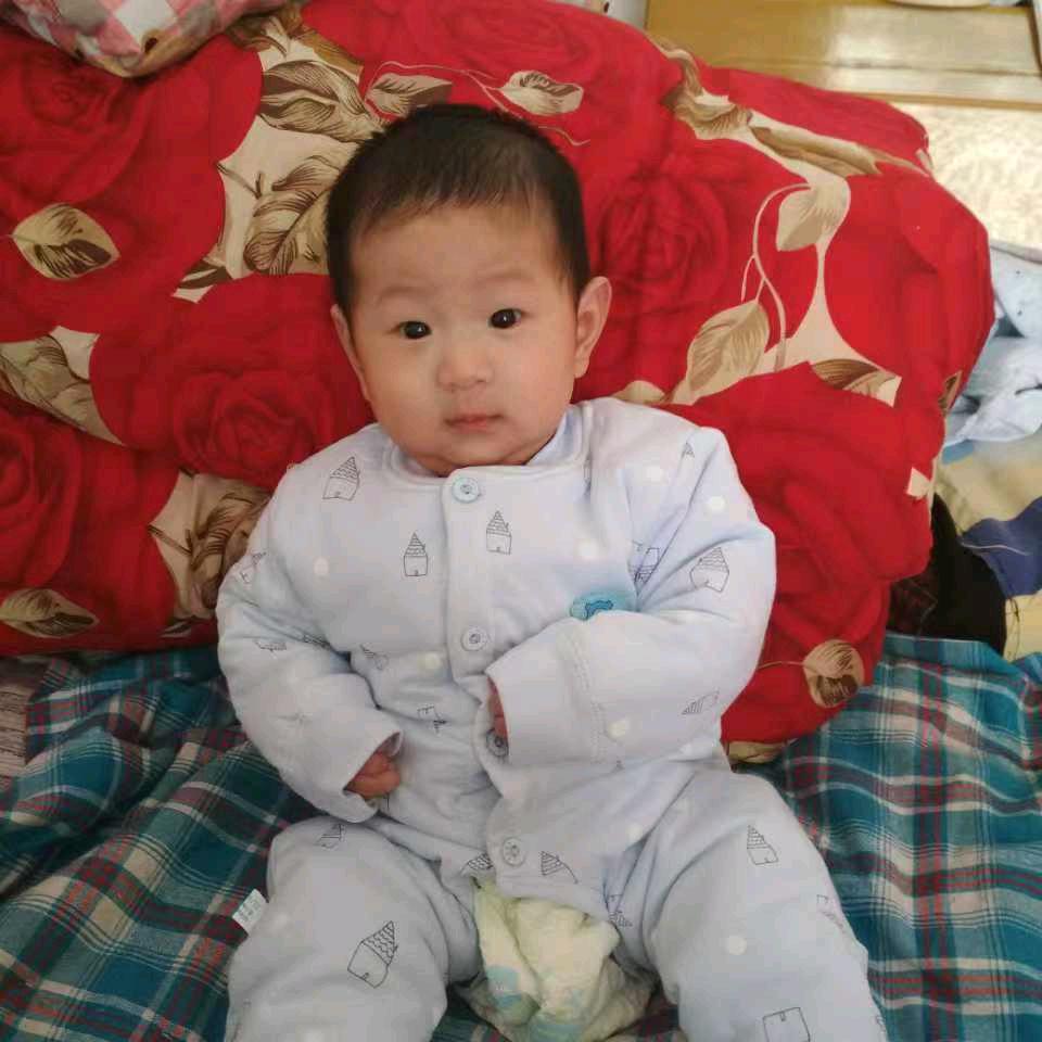 南宫壁挂炉维修清洗保养