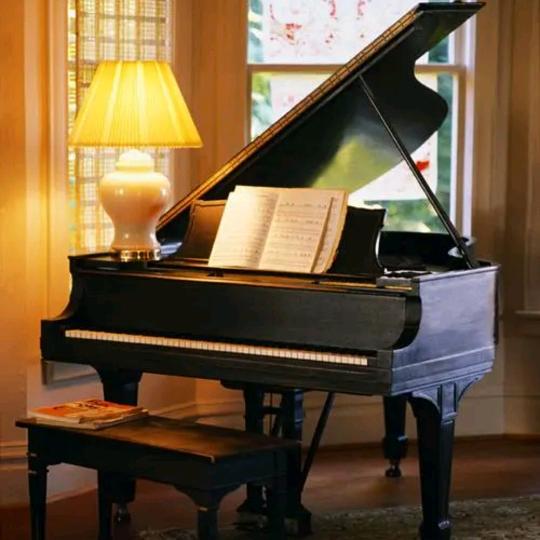 一个酷爱音乐的人