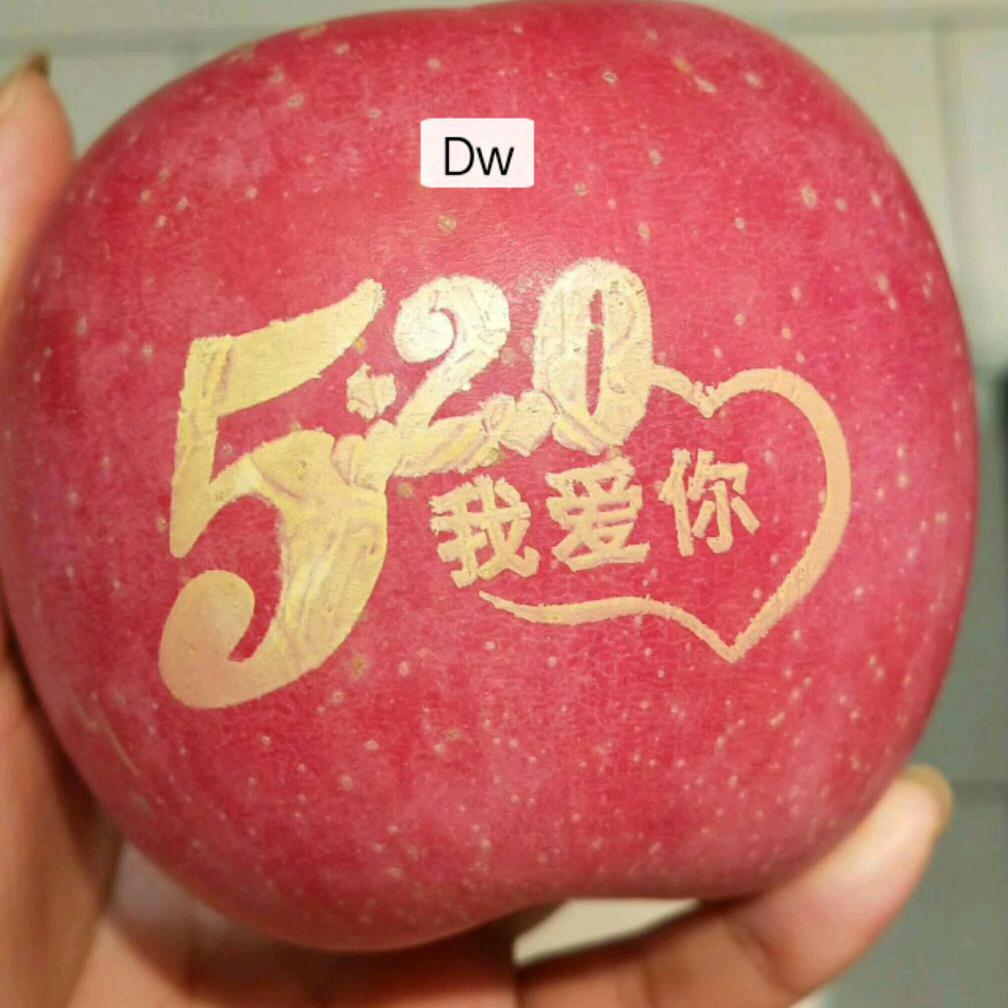 自由自在