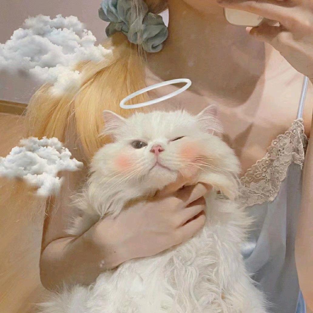 阿汐吖