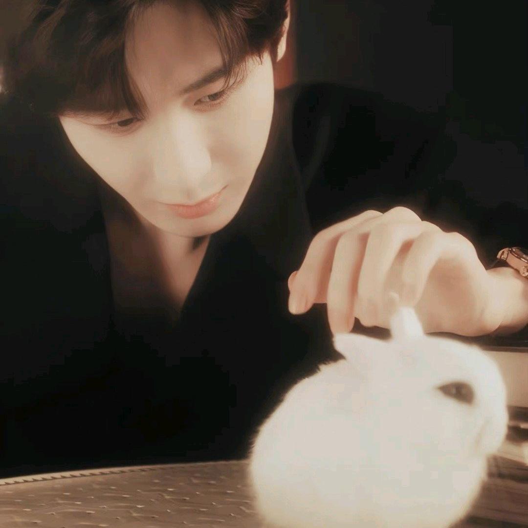 ヽ若殇^yc🥝（视频剪辑）