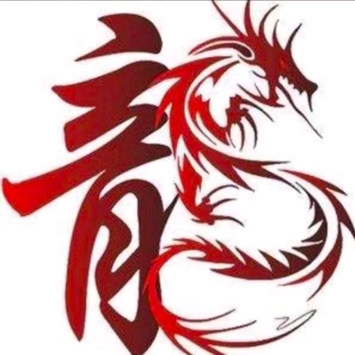 宁夏鑫青龙新能源科技有限公司