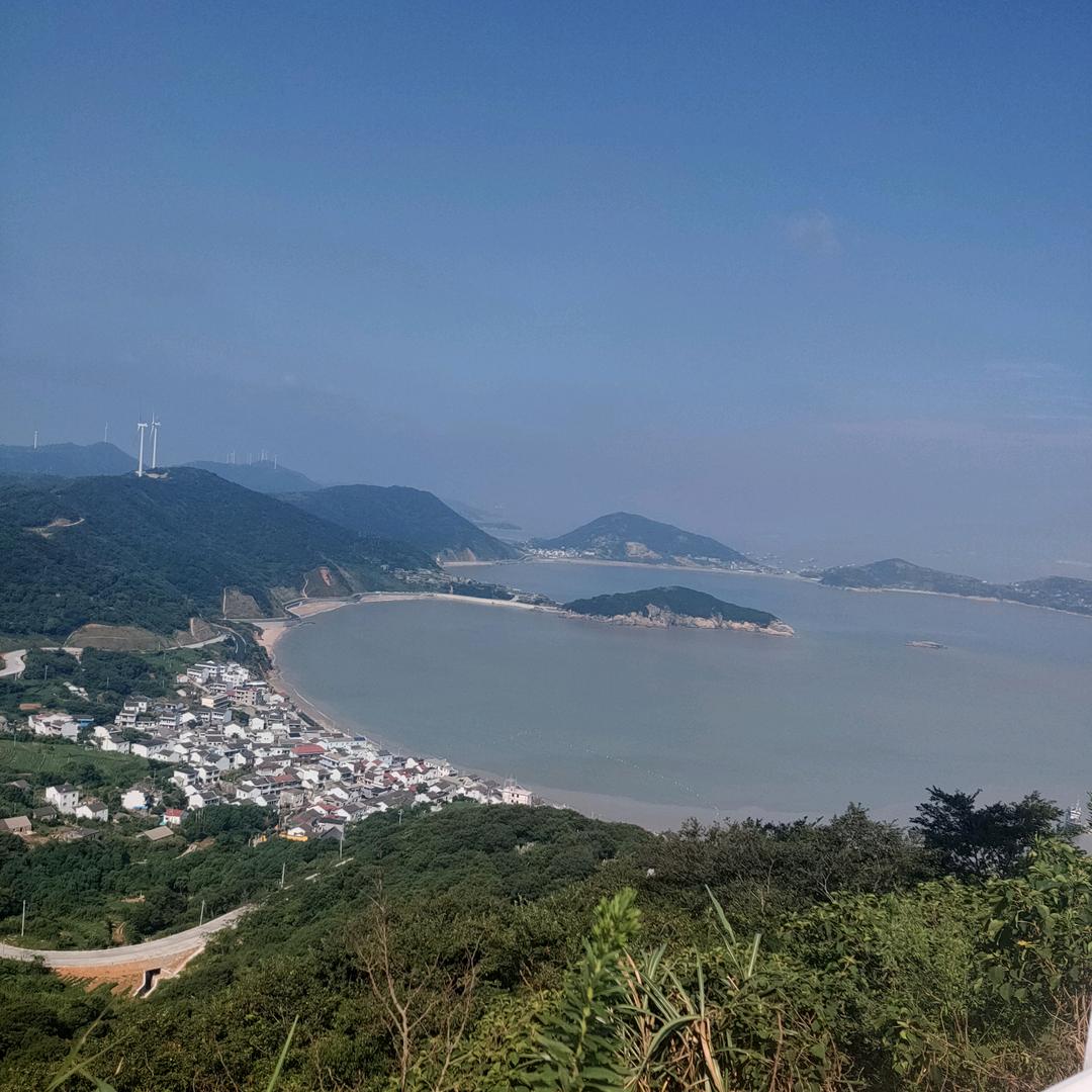 萍🎵音乐