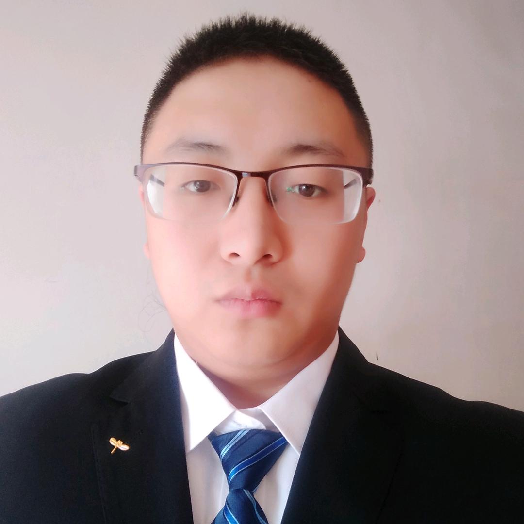阁僚特工