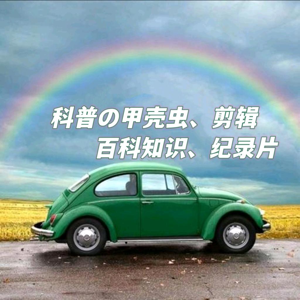 蓝天の甲壳虫