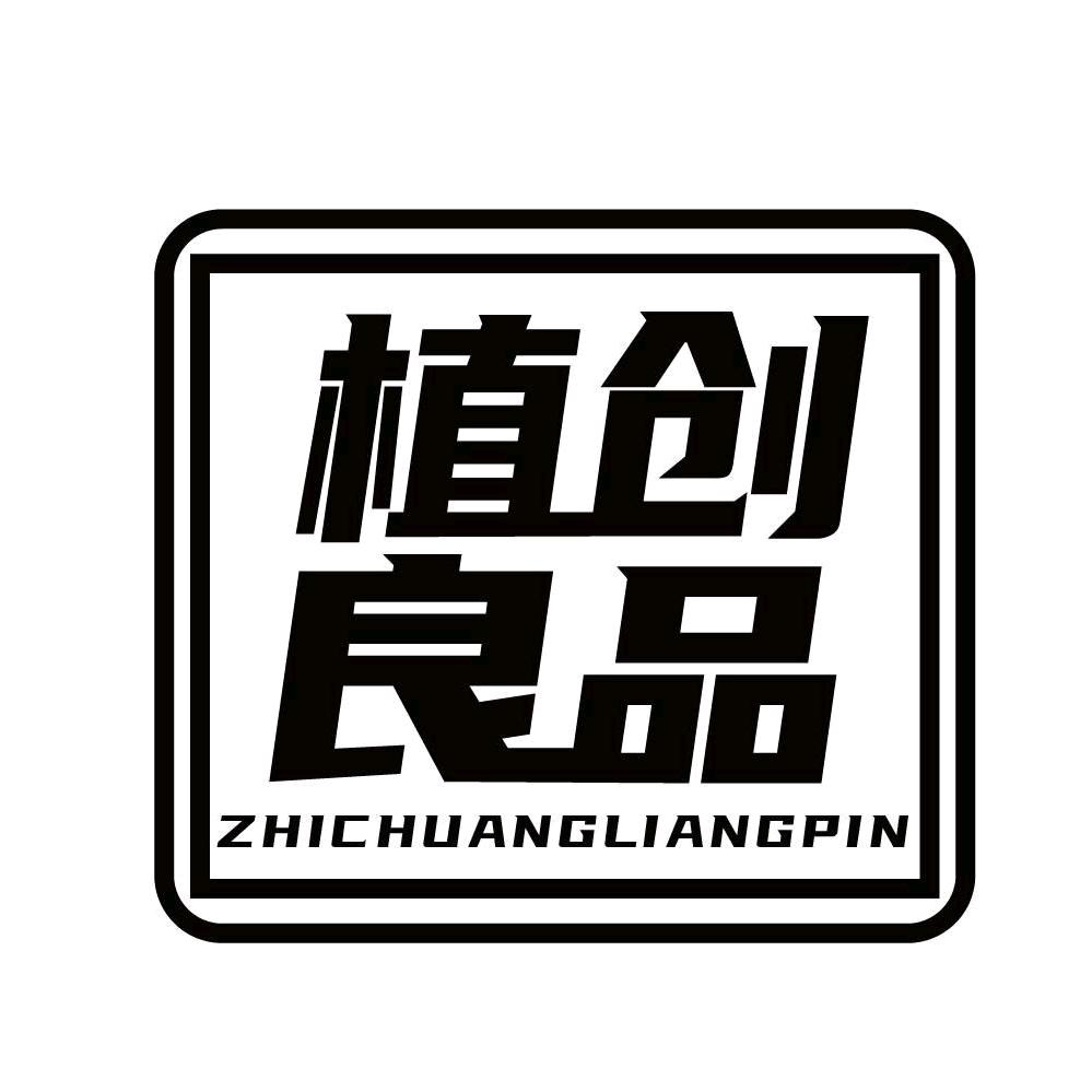 ZCLPXYX金鱼国哥