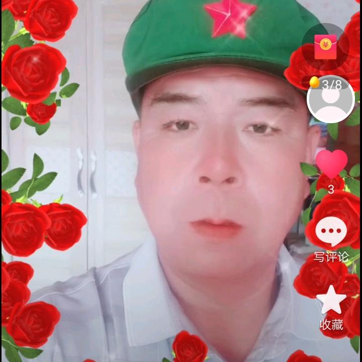 军中绿叶