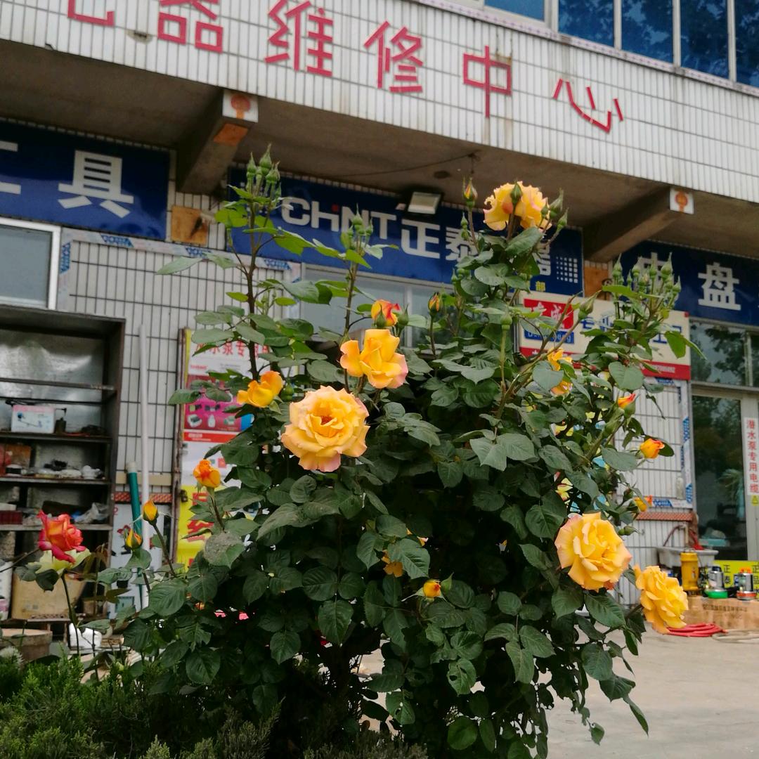 木李电器营修中心