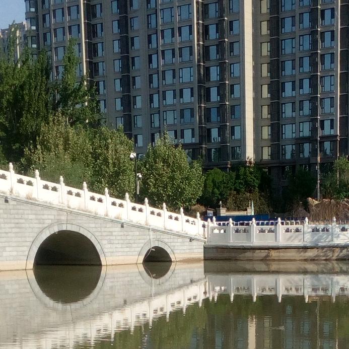 鸿雁传书
