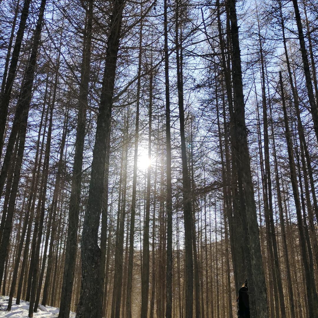 春暖花开阳光明媚