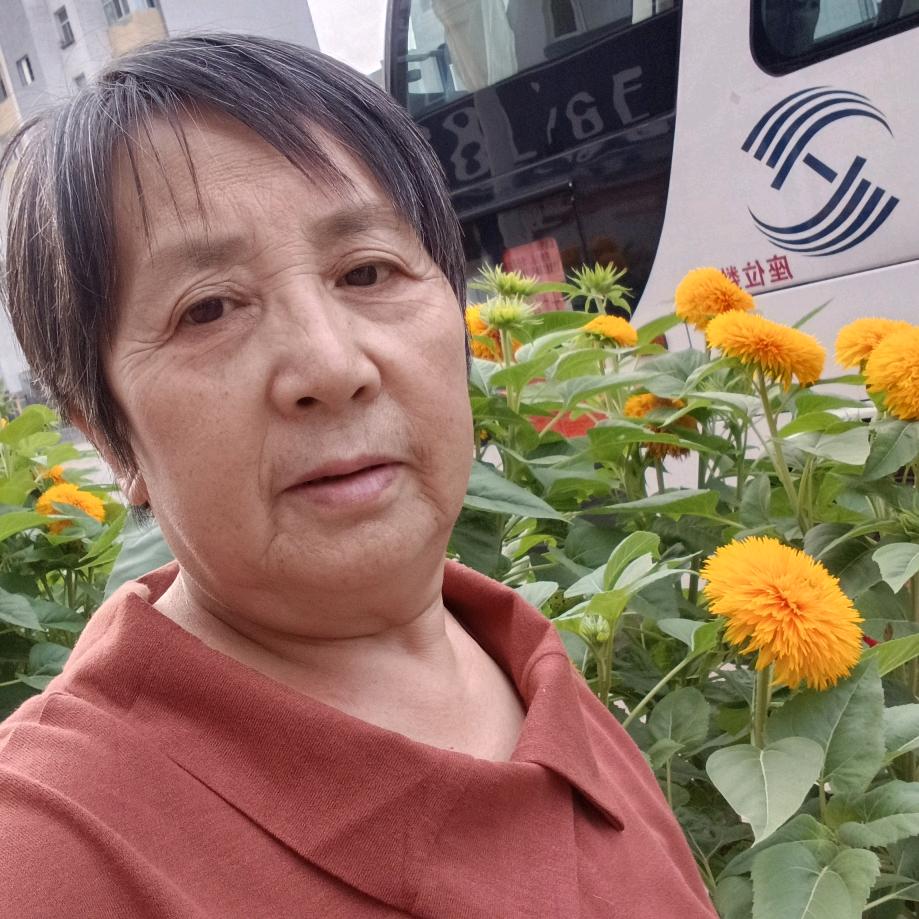 杨林