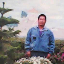 荣志