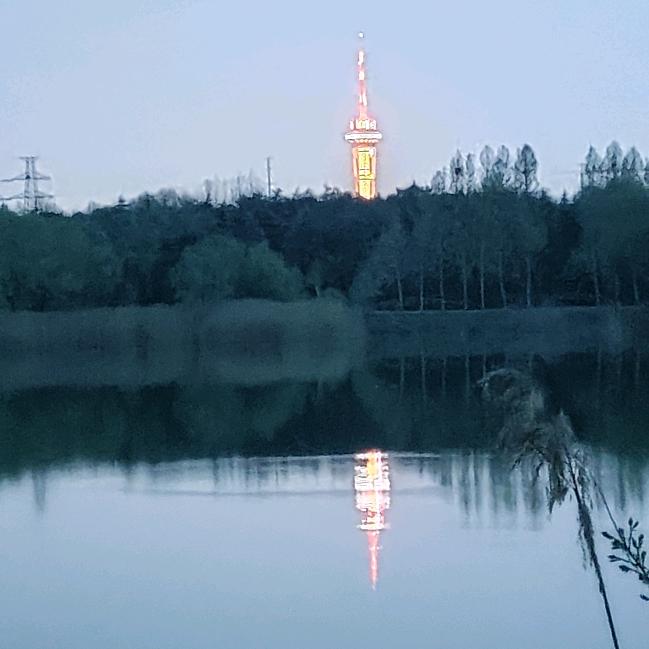 小白