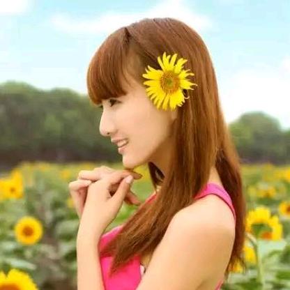 太阳花🌻