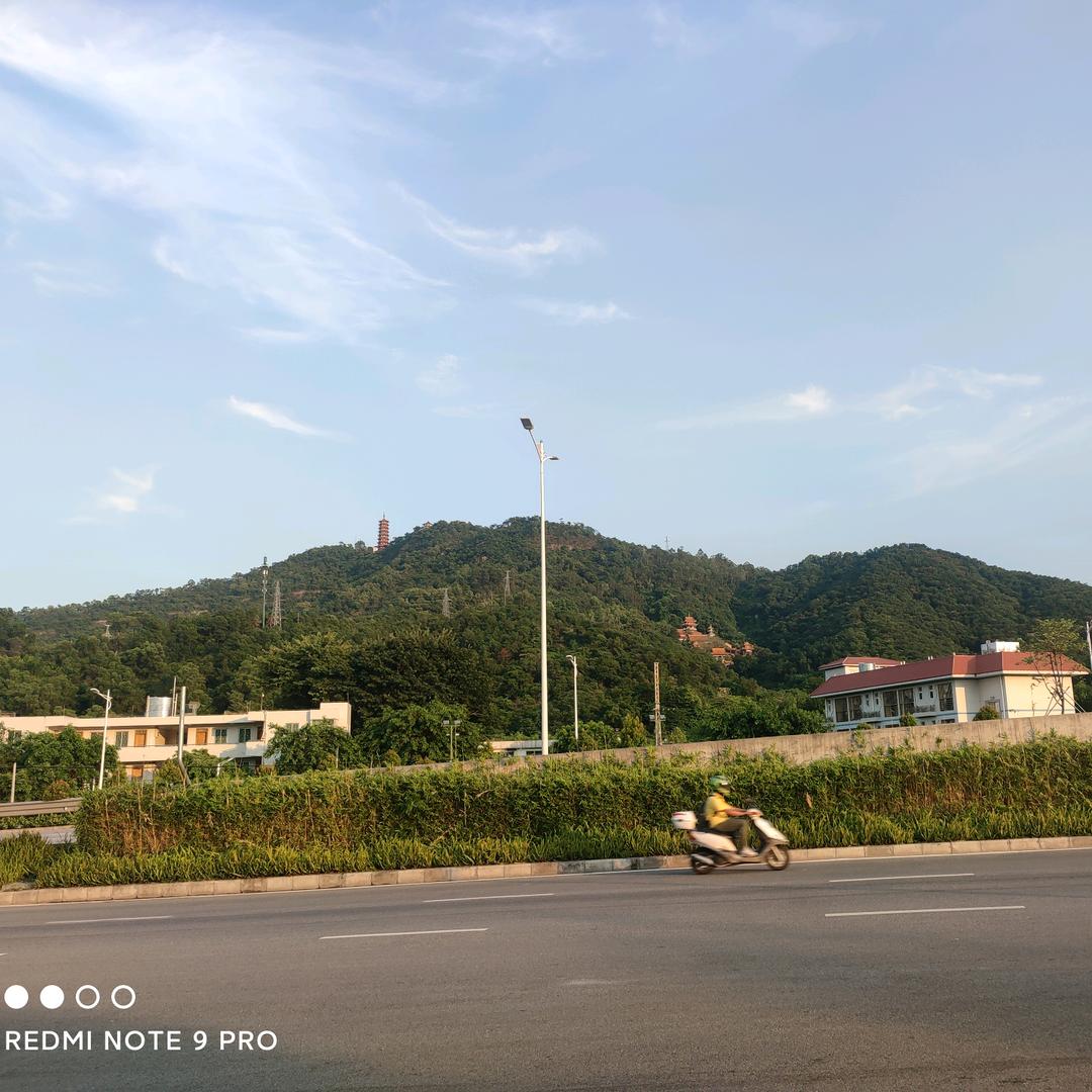吴泽天