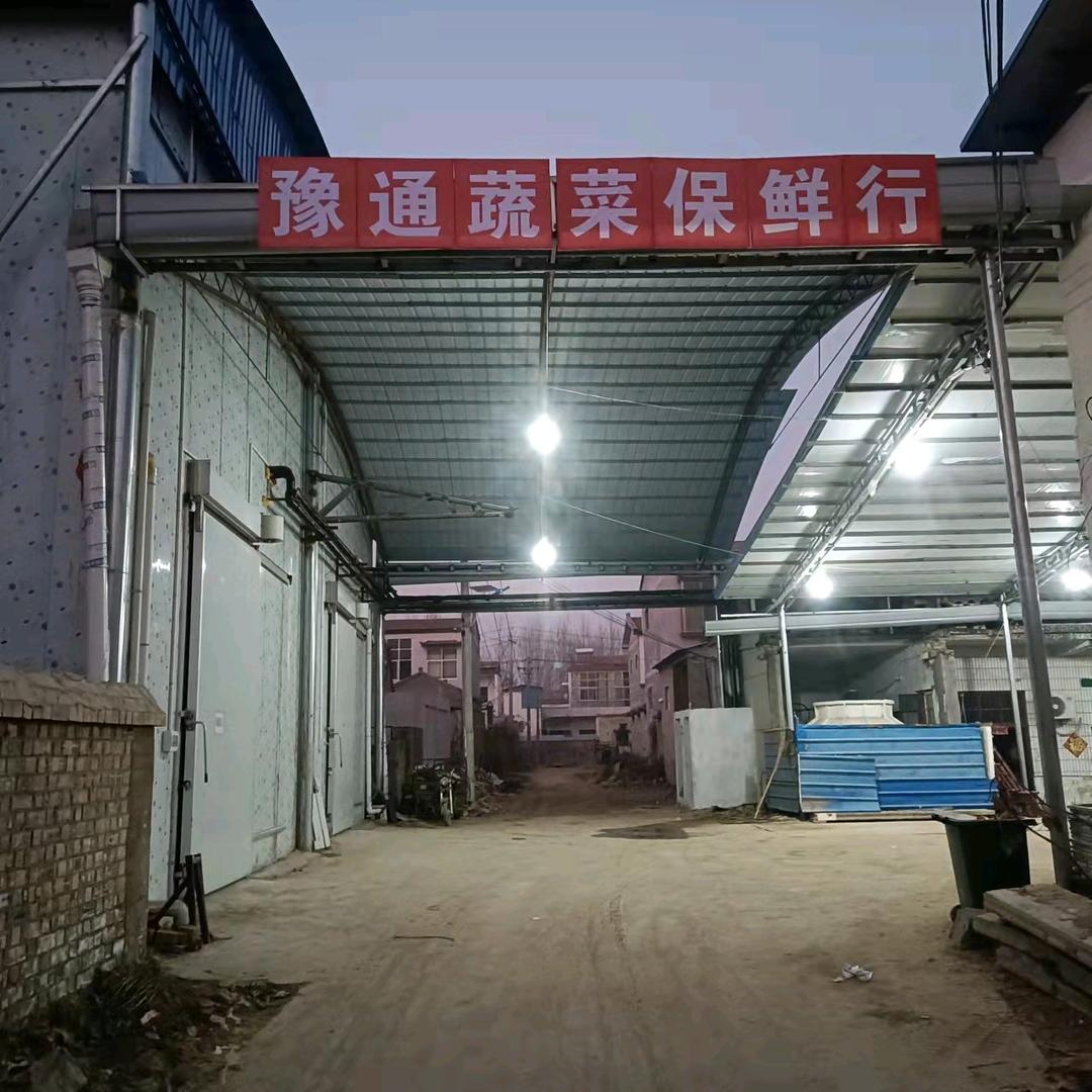 通许豫通蔬菜保鲜行