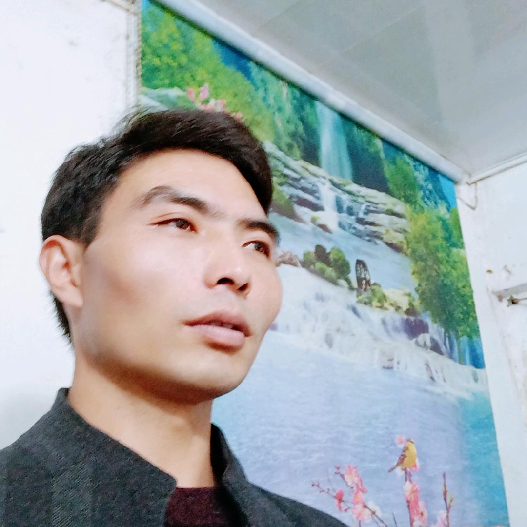 我的愿望就是你