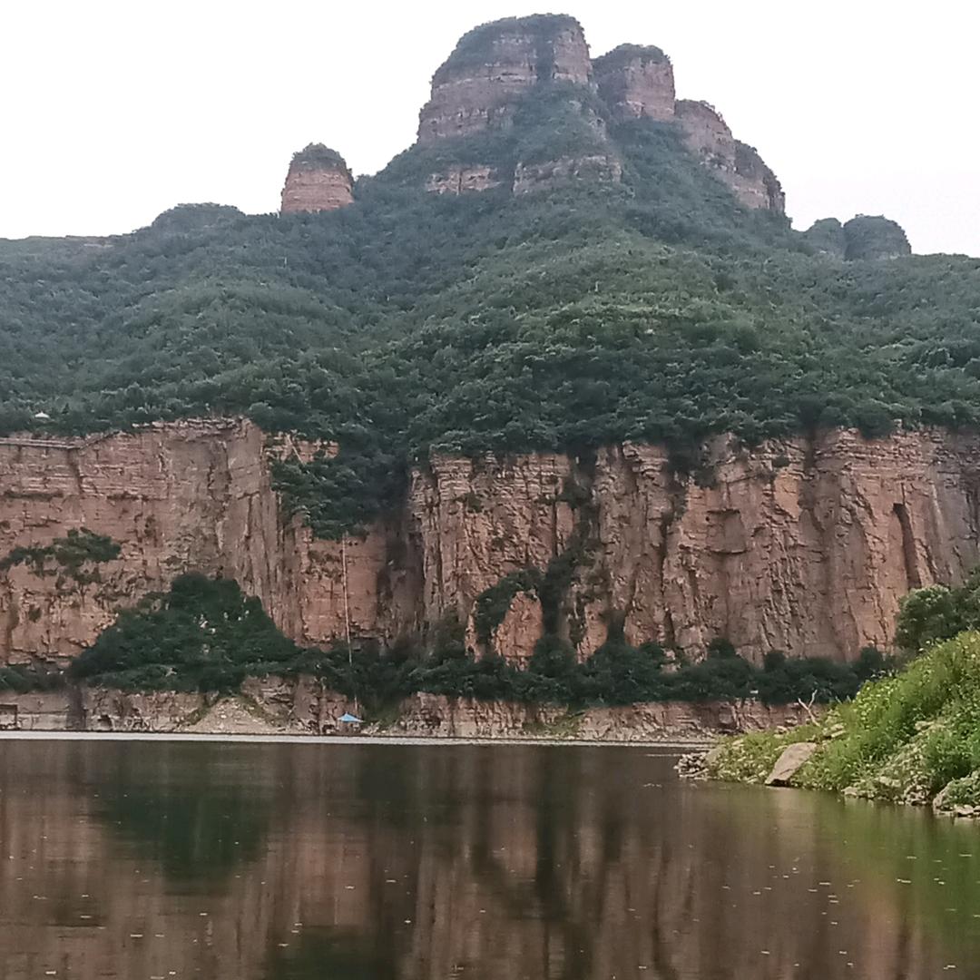 锦鲤