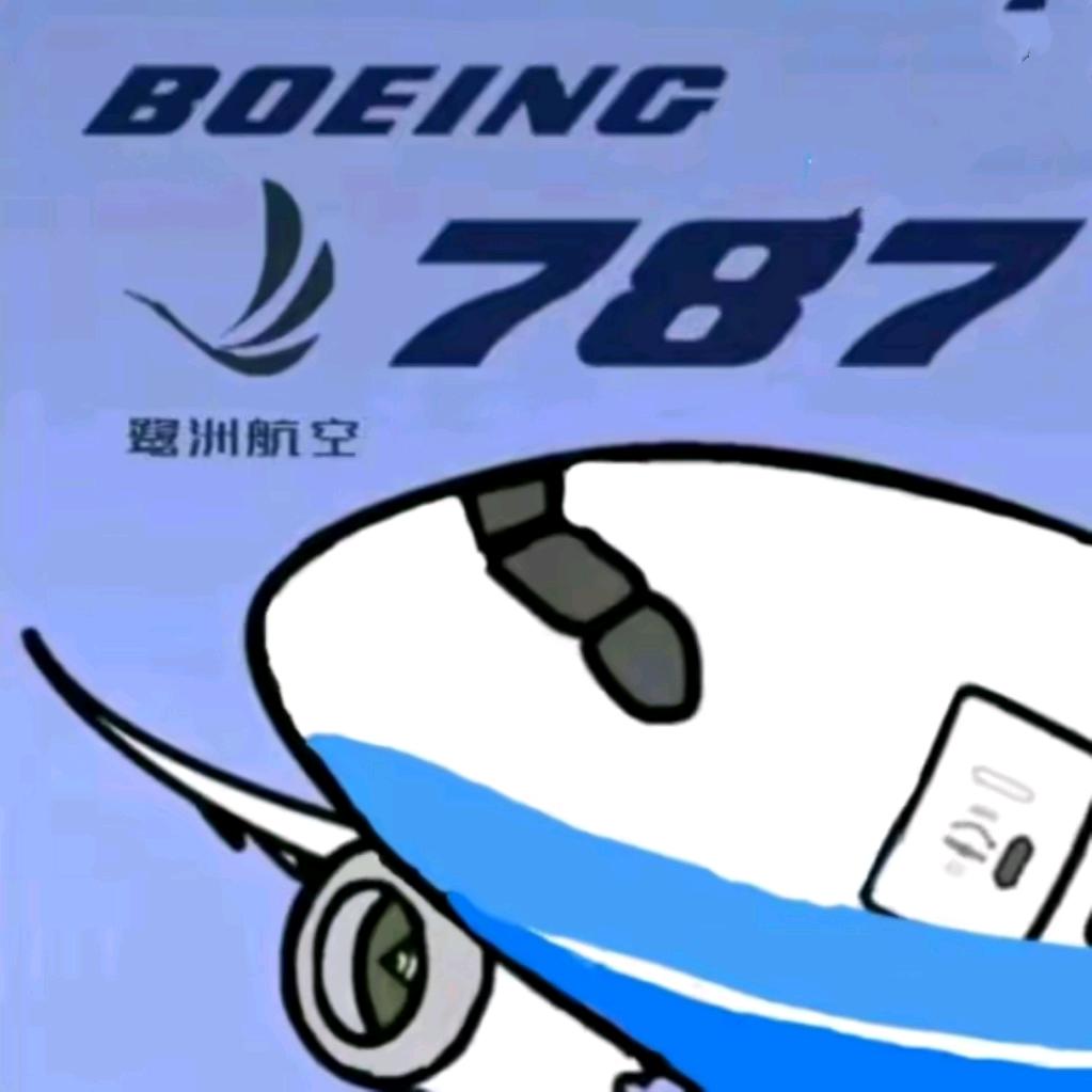 一架鹭洲787（翔飞集团）