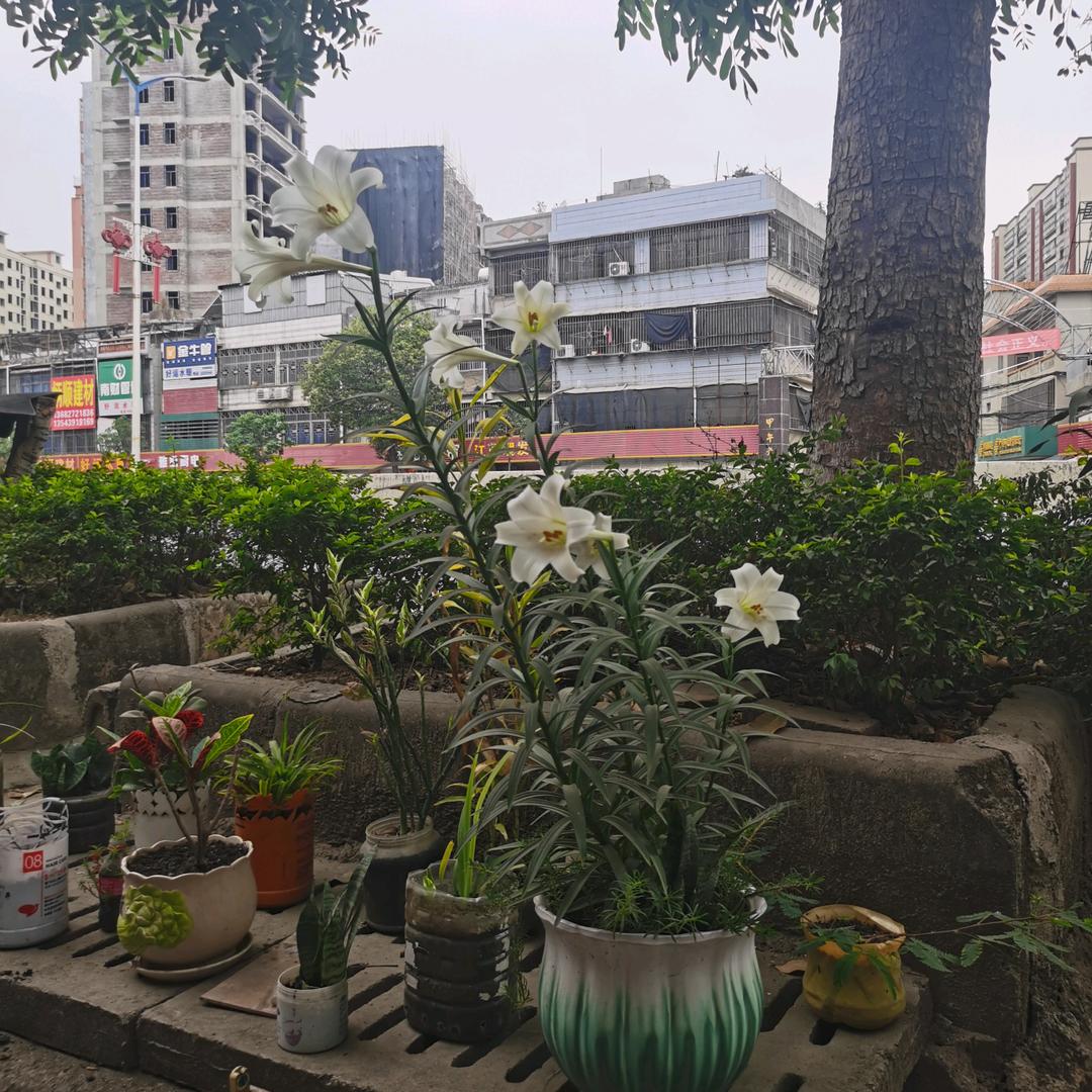 剪剪风彩