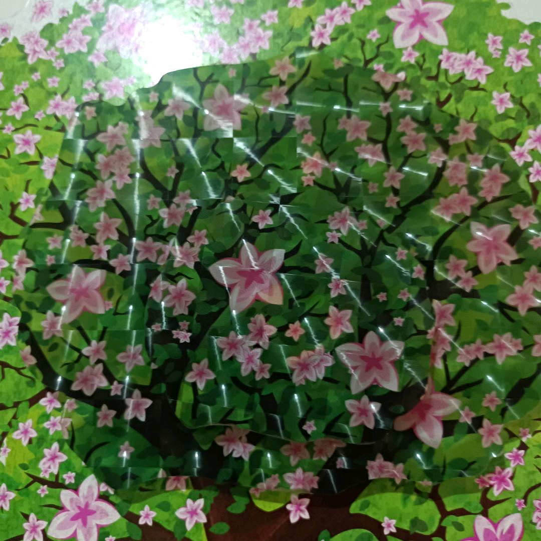 韩有杰