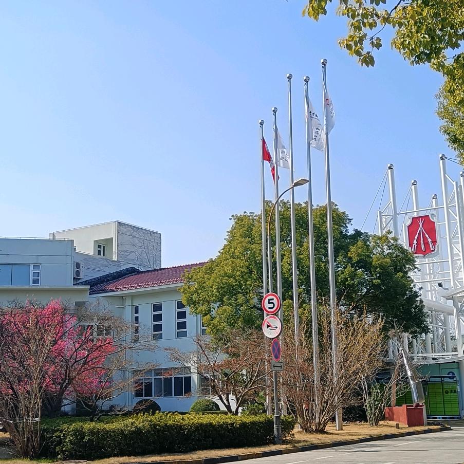 坎坷人生