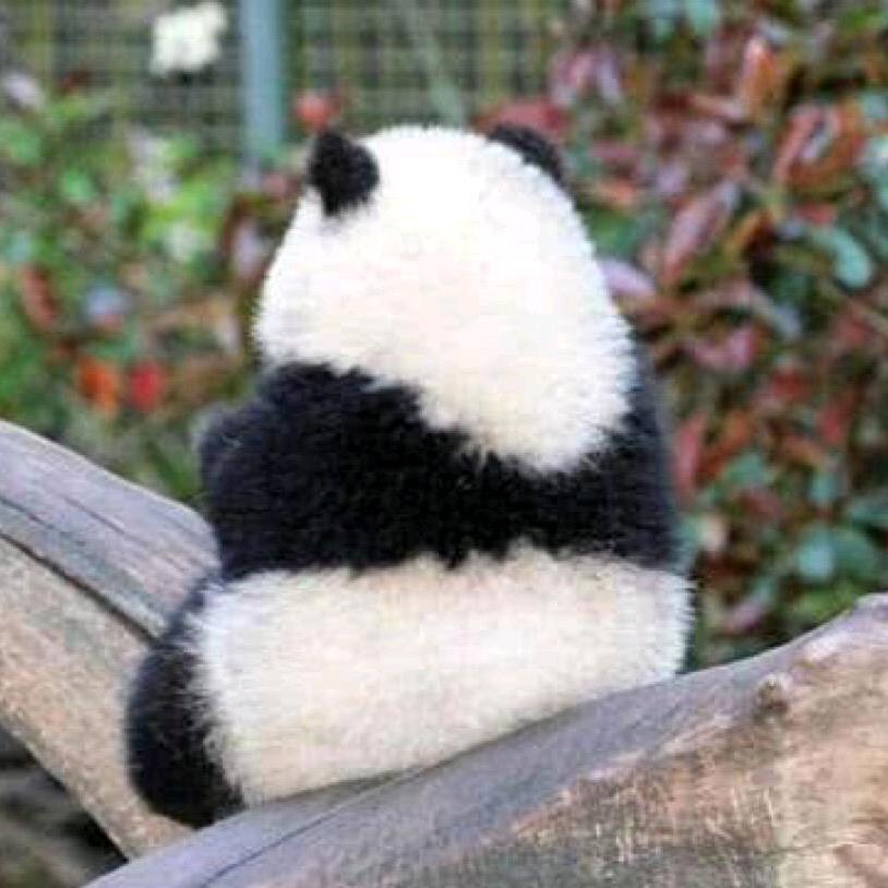 小瓶子在济南