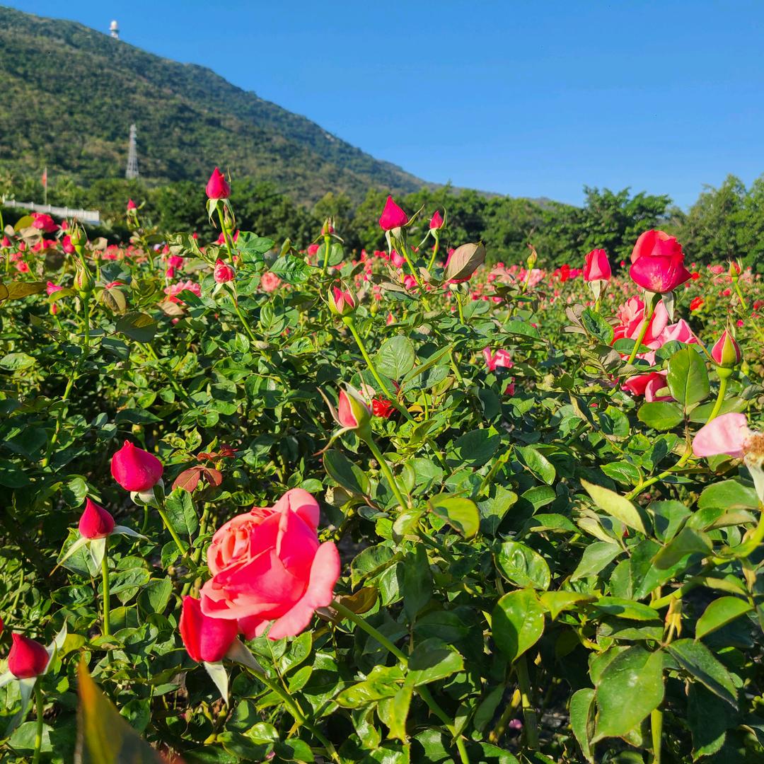 美好时光 ，记忆尤新