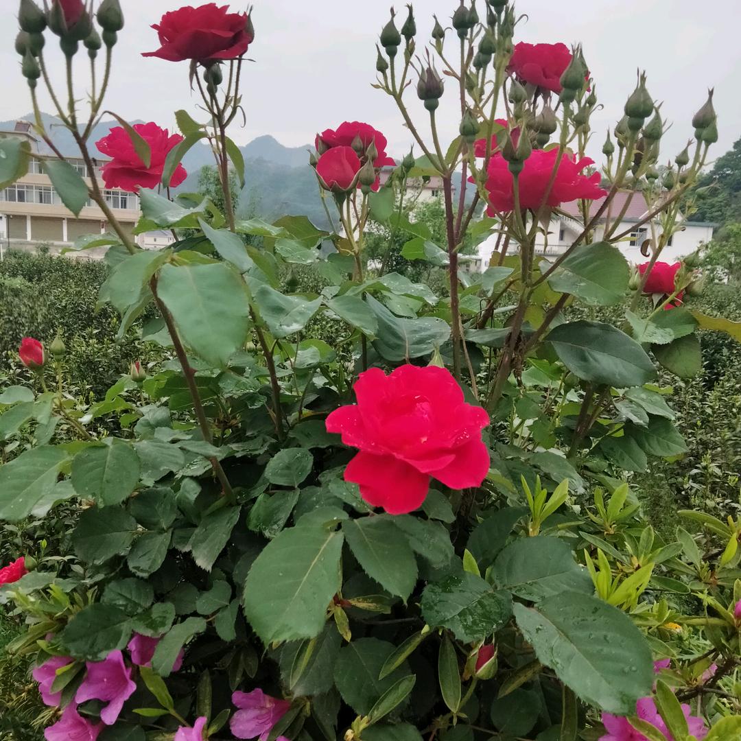 一生平安