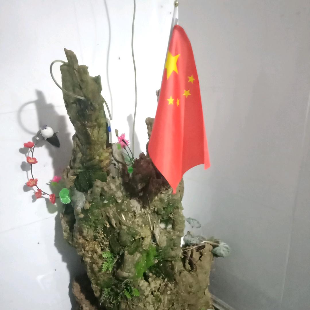 杨半仙