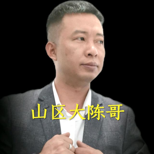 山区大陈哥