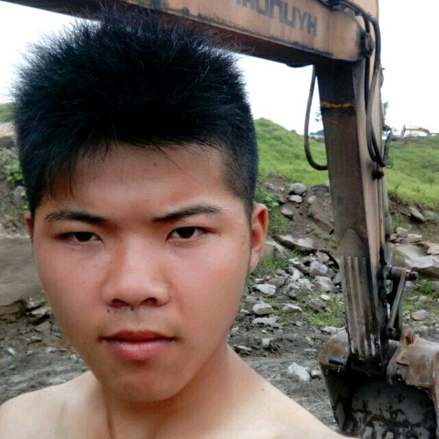 砍树一条龙