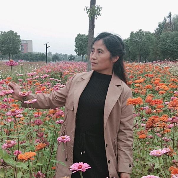 小宇奶奶《不定时开播》