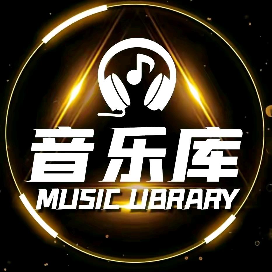 伤感歌曲（🉑购 优盘）